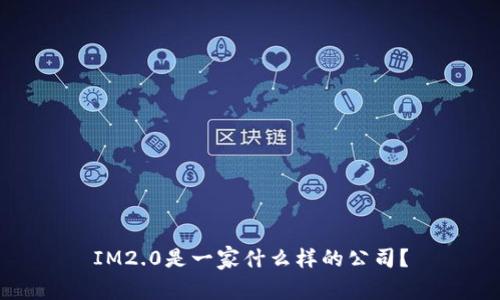 IM2.0是一家什么样的公司？