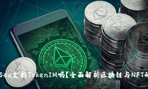 OpenSea支持TokenIM吗？全面解析区块链与NFT的结合