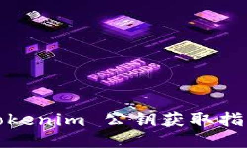 Tokenim 公钥获取指南