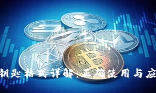 IM2.0钥匙格式详解：正确使用与应用场景