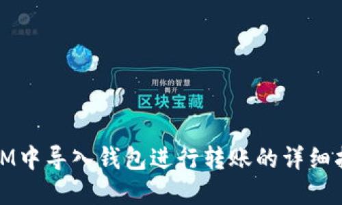 在IM中导入钱包进行转账的详细指南
