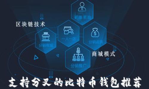 
支持分叉的比特币钱包推荐
