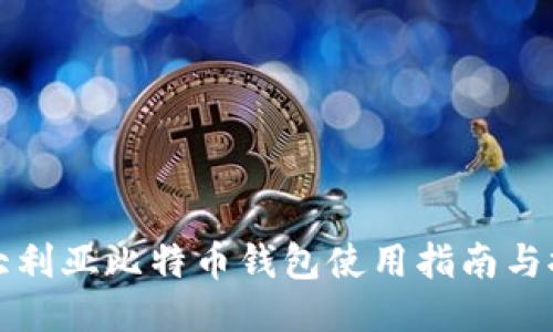 澳大利亚比特币钱包使用指南与推荐