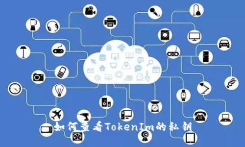 如何查看TokenIm的私钥