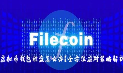 虚拟币钱包被盗怎么办？全方位应对策略解析