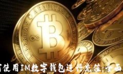 如何使用IM数字钱包进行充