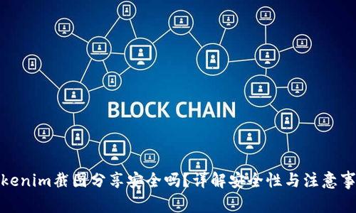 Tokenim截图分享安全吗？详解安全性与注意事项