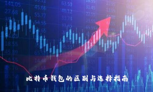 比特币钱包的区别与选择指南