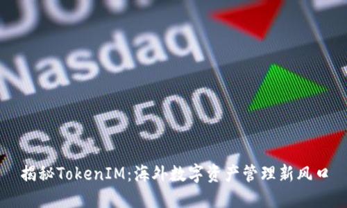 揭秘TokenIM：海外数字资产管理新风口