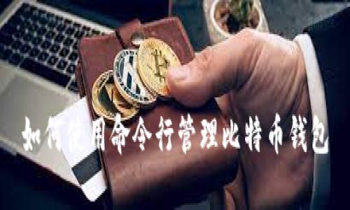 如何使用命令行管理比特币钱包