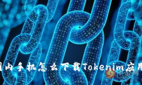 国内手机怎么下载Tokenim应用？