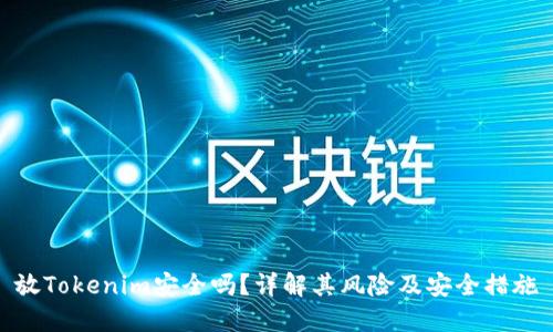 放Tokenim安全吗？详解其风险及安全措施