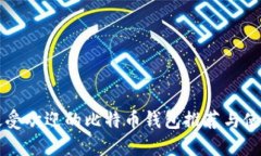 国内最受欢迎的比特币钱