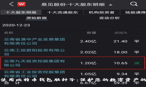 如何安全使用比特币钱包脑种子：保护您的数字资产的终极指南