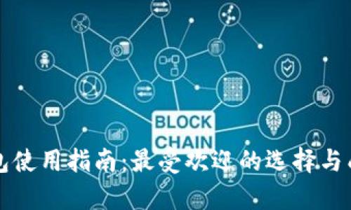 秘鲁数字钱包使用指南：最受欢迎的选择与成功案例分析