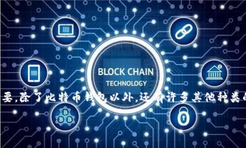 在区块链技术发展的浪潮中，数字钱包作为连接用户与区块链的重要工具，变得越来越重要。除了比特币钱包以外，还有许多其他种类的钱包可供选择。本文将详细介绍类似区块链的钱包，并且探讨它们各自的特点和优缺点。

多样化数字钱包的选择：不同区块链钱包带来的便捷与安全