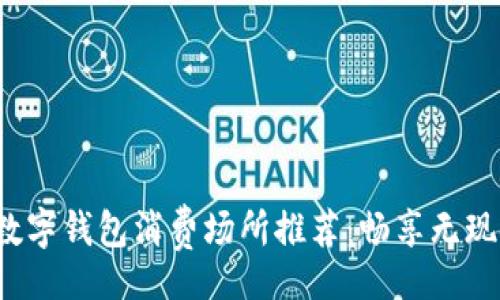 div
    2023年最佳数字钱包消费场所推荐：畅享无现金生活的精彩体验