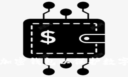 如何有效加密钱包以保护数字资产安全