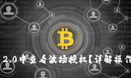 如何在imToken 2.0中查看波场授权？详解操作步骤与注意事项