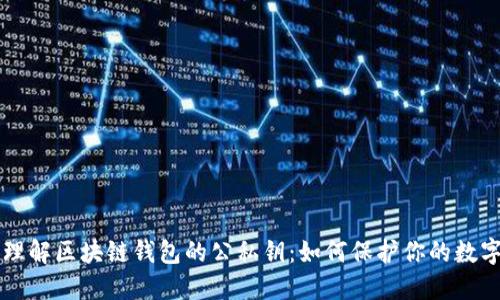 深入理解区块链钱包的公私钥：如何保护你的数字资产