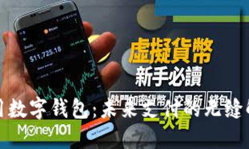 全球通用数字钱包：未来支付的无缝解决方案