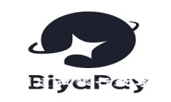 如何成功开通中国建设银行数字钱包：全方位指