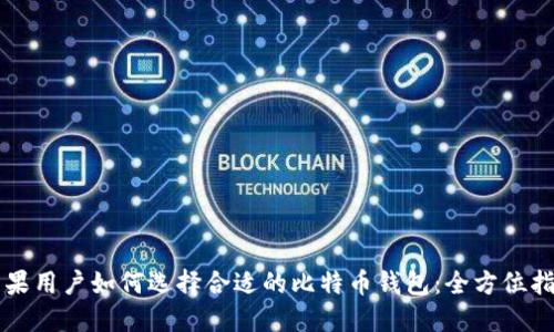 苹果用户如何选择合适的比特币钱包：全方位指南