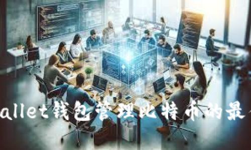 使用Ballet钱包管理比特币的最佳实践