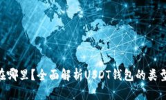  USDT钱包在哪里？全面解析USDT钱包的类型和使用
