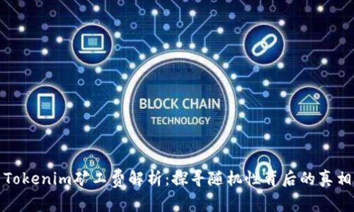 Tokenim矿工费解析：探寻随机性背后的真相