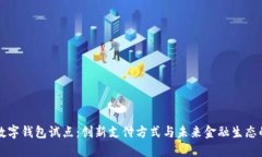 深圳数字钱包试点：创新支付方式与未来金融生