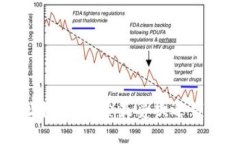 比特币钱包地址排行：探索最受欢迎钱包的秘密