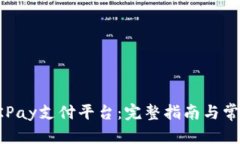 和关键词如何下载OKPay支付平台：完整指南与常见