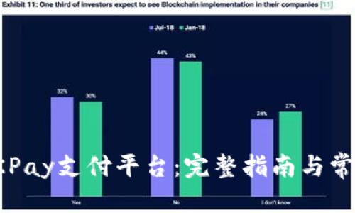 和关键词

如何下载OKPay支付平台：完整指南与常见问题解答