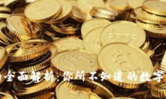比特币钱包的全面解析：你所不知道的数字资产