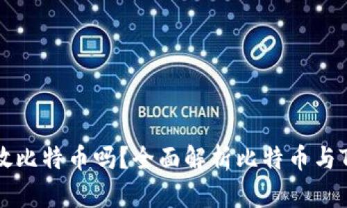 Tokenim可存放比特币吗？全面解析比特币与Tokenim的关系