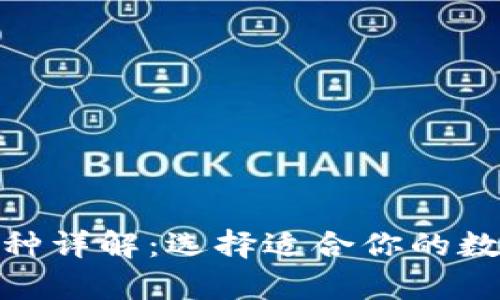 : 区块链钱包品种详解：选择适合你的数字资产存储方案