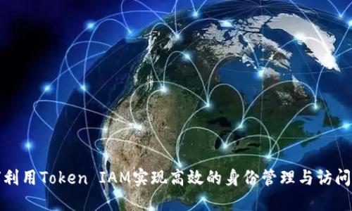 如何利用Token IAM实现高效的身份管理与访问控制