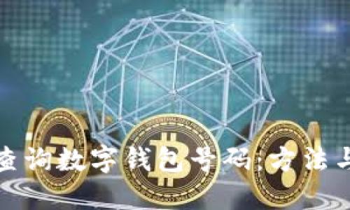 如何查询数字钱包号码：方法与技巧