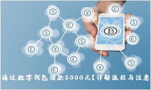 如何通过数字钱包借款5000元？详解流程与注意事项