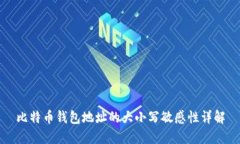 比特币钱包地址的大小写敏感性详解