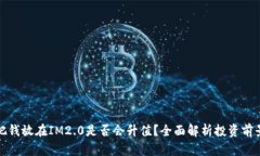 把钱放在IM2.0是否会升值？全面解析投资前景