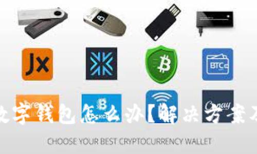 微信不显示数字钱包怎么办？解决方案及技巧大揭秘