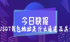 全解析：USDT钱包地址是什么通道及其使用指南