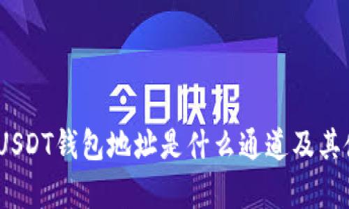 全解析：USDT钱包地址是什么通道及其使用指南
