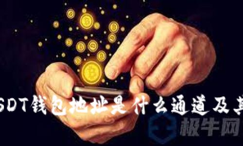 全解析：USDT钱包地址是什么通道及其使用指南