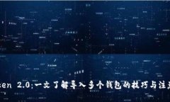 imToken 2.0：一文了解导入多个钱包的技巧与注意事