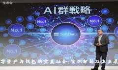 数字资产与钱包的完美融合：案例分析及未来展