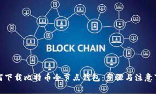 如何下载比特币全节点钱包：步骤与注意事项