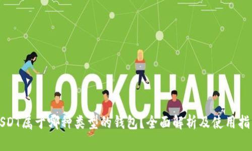 USDT属于哪种类型的钱包？全面解析及使用指南